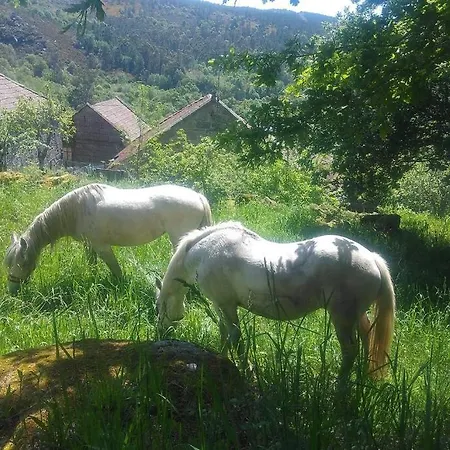 El Capricho De Belen * Ourense